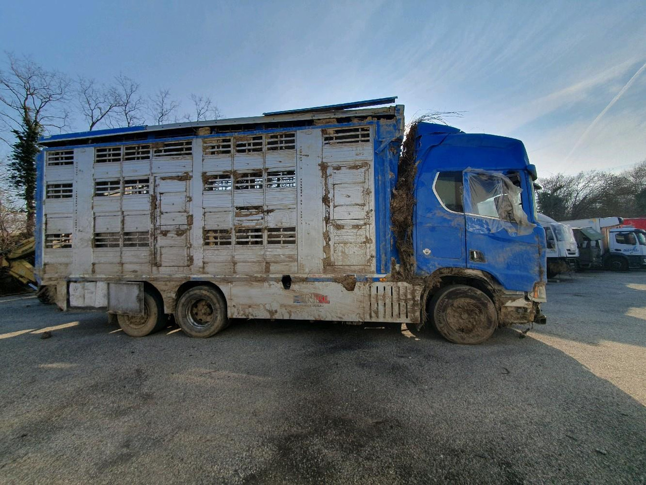 SCANIA R580 - Djurtransport lastbil: bild 3 SCANIA R580 - Djurtransport lastbil: bild 3