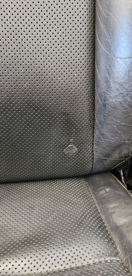 SCANIA R S FOTEL PASAŻERA - Säte: bild 5 SCANIA R S FOTEL PASAŻERA - Säte: bild 5