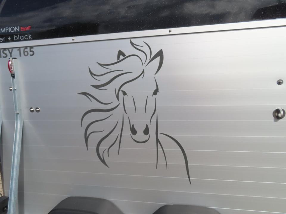 Böckmann Pferdeanhänger Champion Esprit ISY Sattelkammer 100km/h - Hästsläp: bild 3 Böckmann Pferdeanhänger Champion Esprit ISY Sattelkammer 100km/h - Hästsläp: bild 3