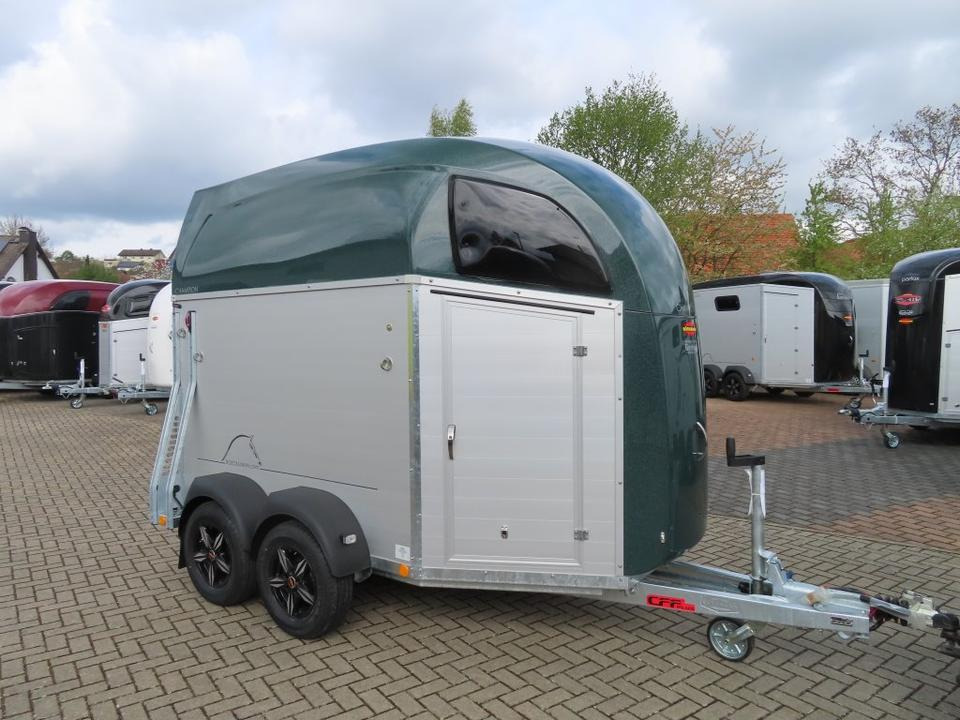 Böckmann Pferdeanhänger Champion R Flügeltür Saka. 100km/h - Hästsläp: bild 3 Böckmann Pferdeanhänger Champion R Flügeltür Saka. 100km/h - Hästsläp: bild 3