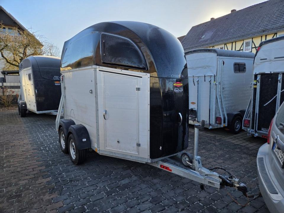 Böckmann, Pferdeanhänger, Champion R, top, SaKa. 100 km/h - Hästsläp: bild 5 Böckmann, Pferdeanhänger, Champion R, top, SaKa. 100 km/h - Hästsläp: bild 5