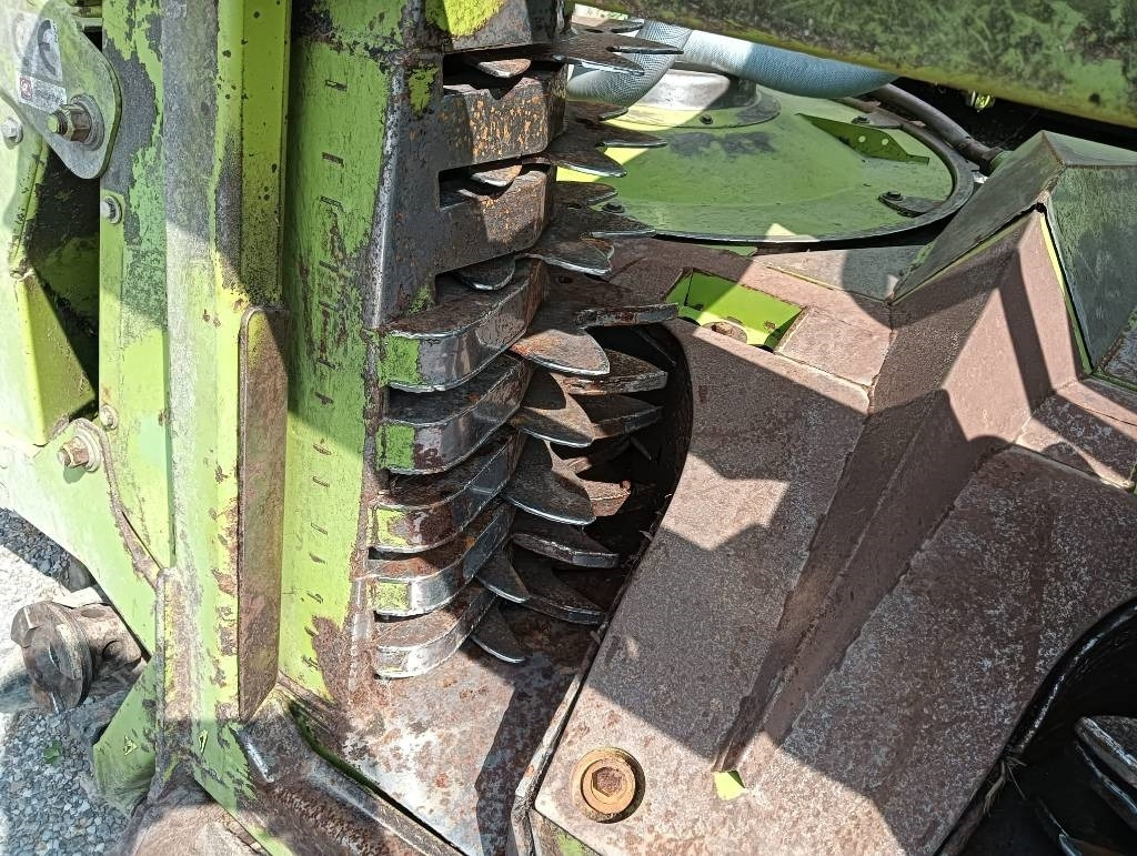 Claas Orbis 600  - Skärbord för majs: bild 3 Claas Orbis 600  - Skärbord för majs: bild 3