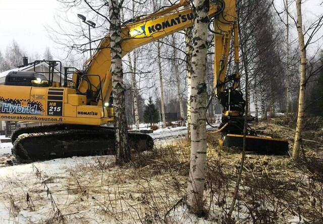 AX-Ketjumurskaimet - Skogsfräs: bild 5 AX-Ketjumurskaimet - Skogsfräs: bild 5