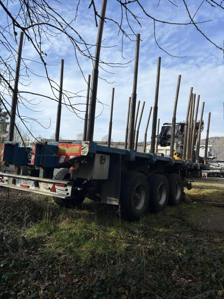 Diebolt grue avec grappin rotatif - Timmertrailer: bild 4 Diebolt grue avec grappin rotatif - Timmertrailer: bild 4