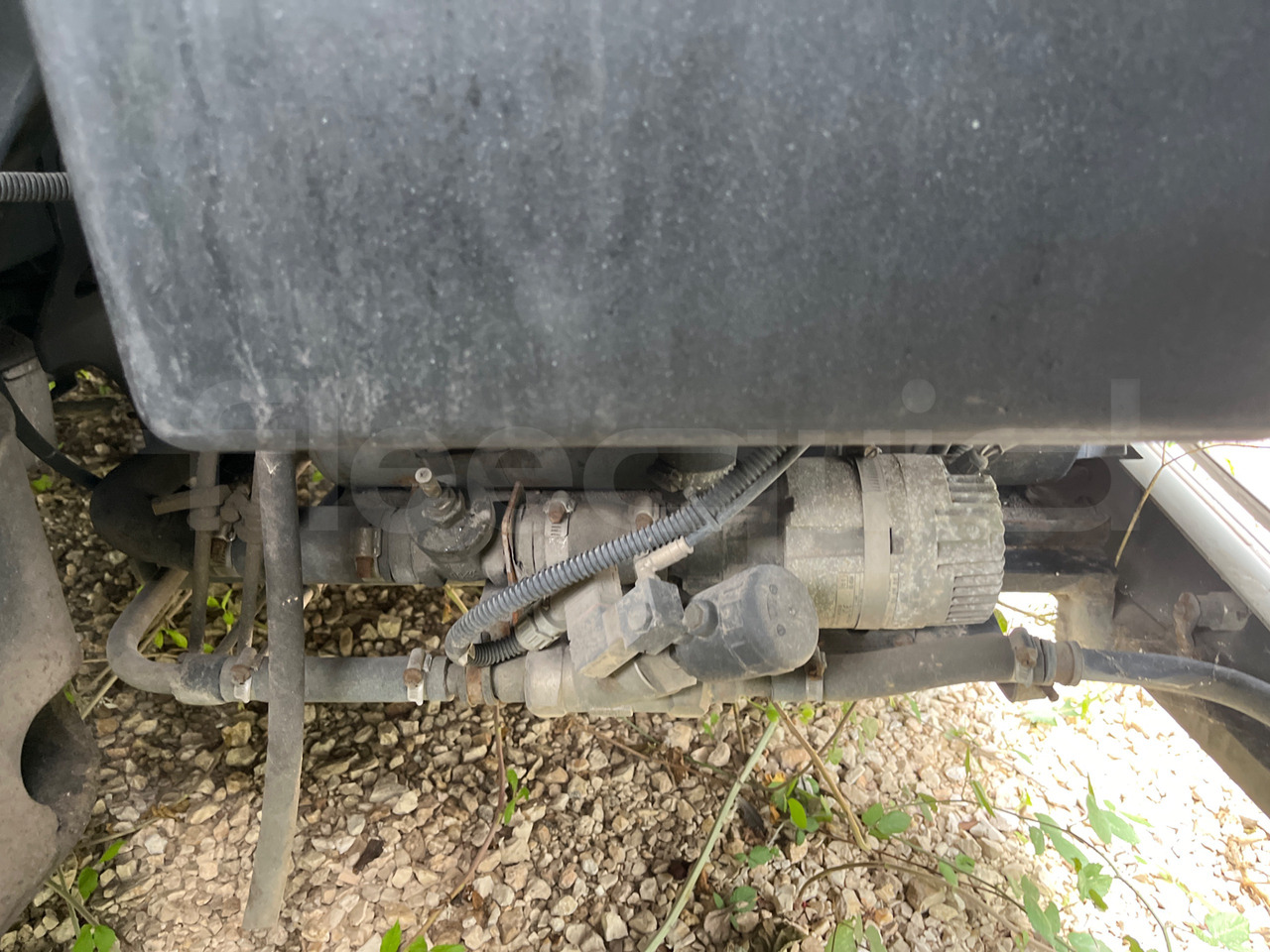 Leasa  Man Lion's Classic Man Lion's Classic: bild 19