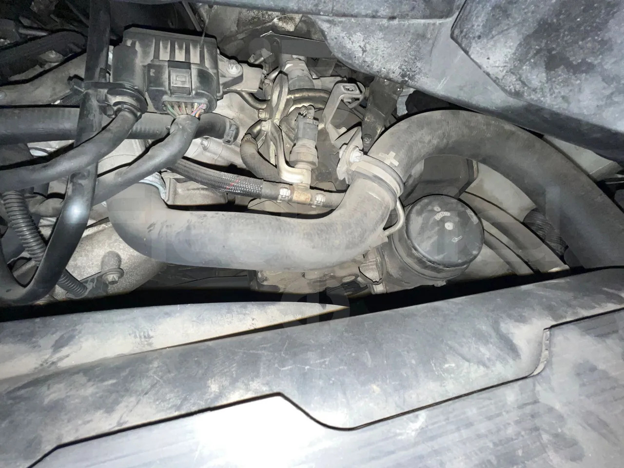 Minibuss, Persontransport Mercedes-Benz Sprinter: bild 15 Minibuss, Persontransport Mercedes-Benz Sprinter: bild 15