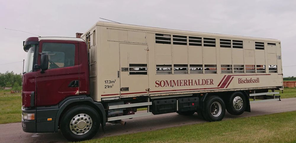 Scania 124 420 Do żywca - Djurtransport lastbil: bild 5 Scania 124 420 Do żywca - Djurtransport lastbil: bild 5