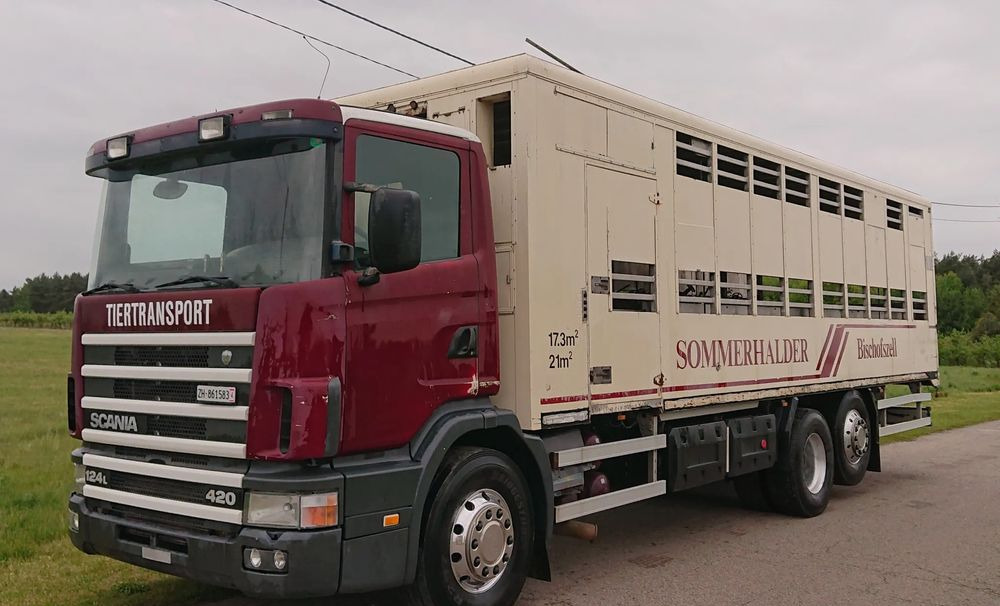 Scania 124 420 Do żywca - Djurtransport lastbil: bild 1 Scania 124 420 Do żywca - Djurtransport lastbil: bild 1