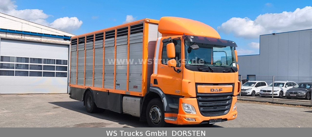 DAF CF 400 Menke Einstock Viehtransporter - Hästbuss: bild 4 DAF CF 400 Menke Einstock Viehtransporter - Hästbuss: bild 4