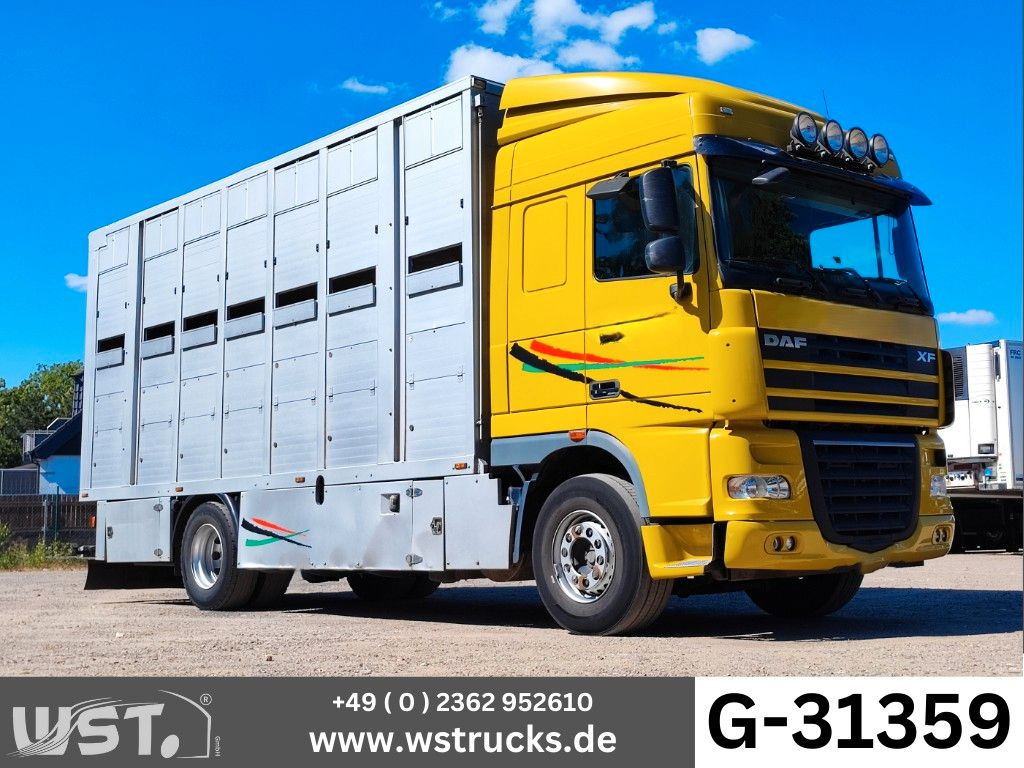 DAF XF 410 SC Menke Doppelstock - Hästbuss: bild 1 DAF XF 410 SC Menke Doppelstock - Hästbuss: bild 1