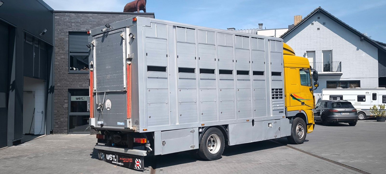 DAF XF 410 SC Menke Doppelstock - Hästbuss: bild 3 DAF XF 410 SC Menke Doppelstock - Hästbuss: bild 3