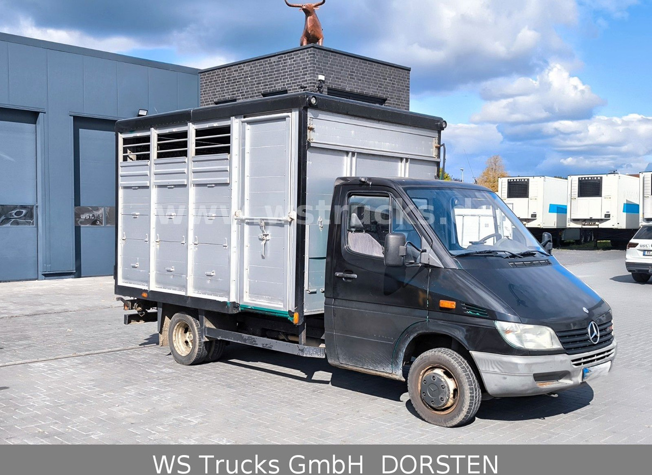 Mercedes-Benz Sprinter 411 CDI Viehtransporter - Djurtransport lastbil: bild 2 Mercedes-Benz Sprinter 411 CDI Viehtransporter - Djurtransport lastbil: bild 2