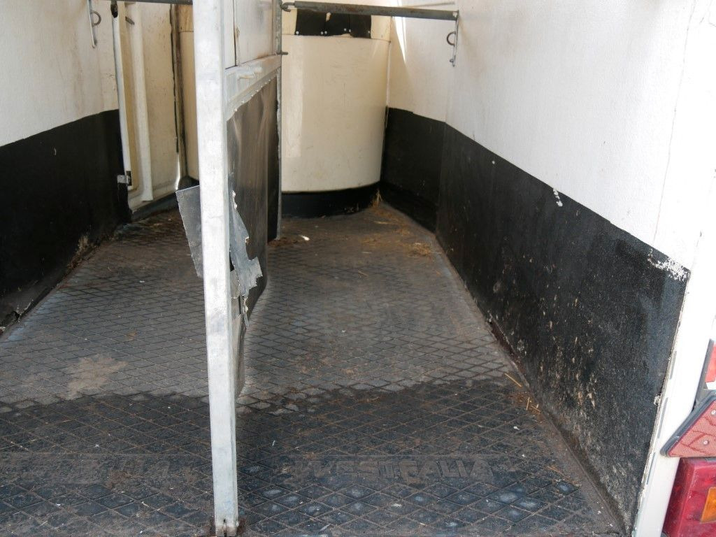 Westfalia Vollpoly 2 Pferde mit Sattelkammer - Hästsläp: bild 5 Westfalia Vollpoly 2 Pferde mit Sattelkammer - Hästsläp: bild 5
