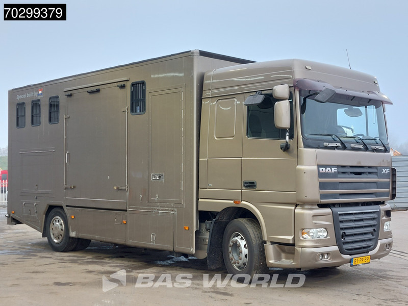 DAF XF105.410 XF 4X2 NL-Truck JK Horsetruck 6 Horses Pferdentransport Manual Euro 5 - Hästbuss: bild 3 DAF XF105.410 XF 4X2 NL-Truck JK Horsetruck 6 Horses Pferdentransport Manual Euro 5 - Hästbuss: bild 3