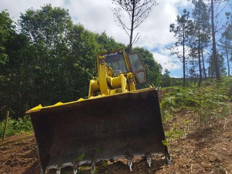 Caterpillar 963 - Bandlastare: bild 4 Caterpillar 963 - Bandlastare: bild 4