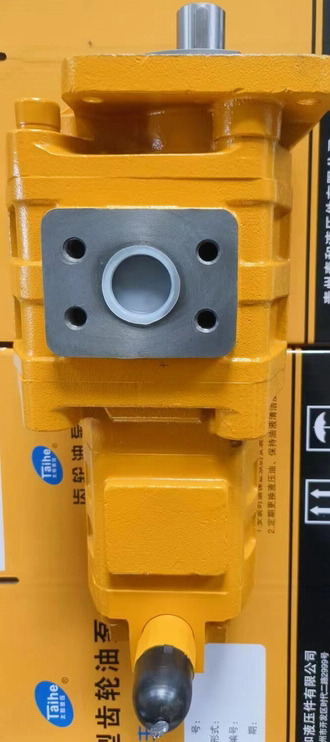 Qingdao Promising Hydraulic Double Gear Pumps Fit China Loader - Hydraulpump för Hjullastare: bild 5 Qingdao Promising Hydraulic Double Gear Pumps Fit China Loader - Hydraulpump för Hjullastare: bild 5