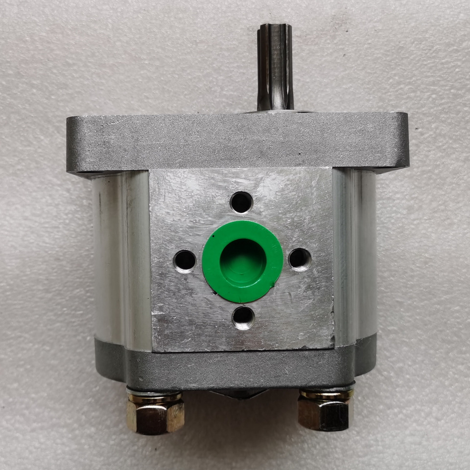 Qingdao Promising Hydraulic Pump CBN-E310BFHL for Chinese Wheel Loader - Hydraulpump för Hjullastare: bild 1 Qingdao Promising Hydraulic Pump CBN-E310BFHL for Chinese Wheel Loader - Hydraulpump för Hjullastare: bild 1