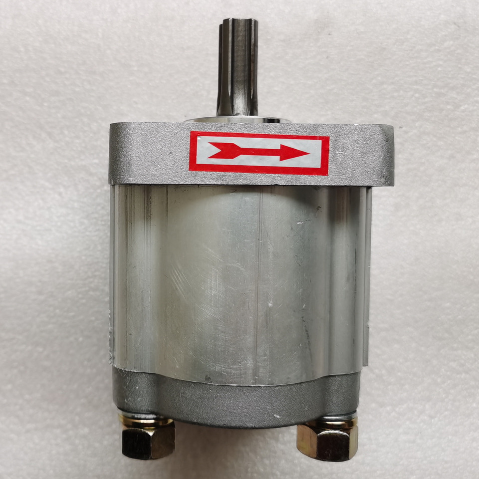 Qingdao Promising Hydraulic Pump CBN-E310BFHL for Chinese Wheel Loader - Hydraulpump för Hjullastare: bild 2 Qingdao Promising Hydraulic Pump CBN-E310BFHL for Chinese Wheel Loader - Hydraulpump för Hjullastare: bild 2