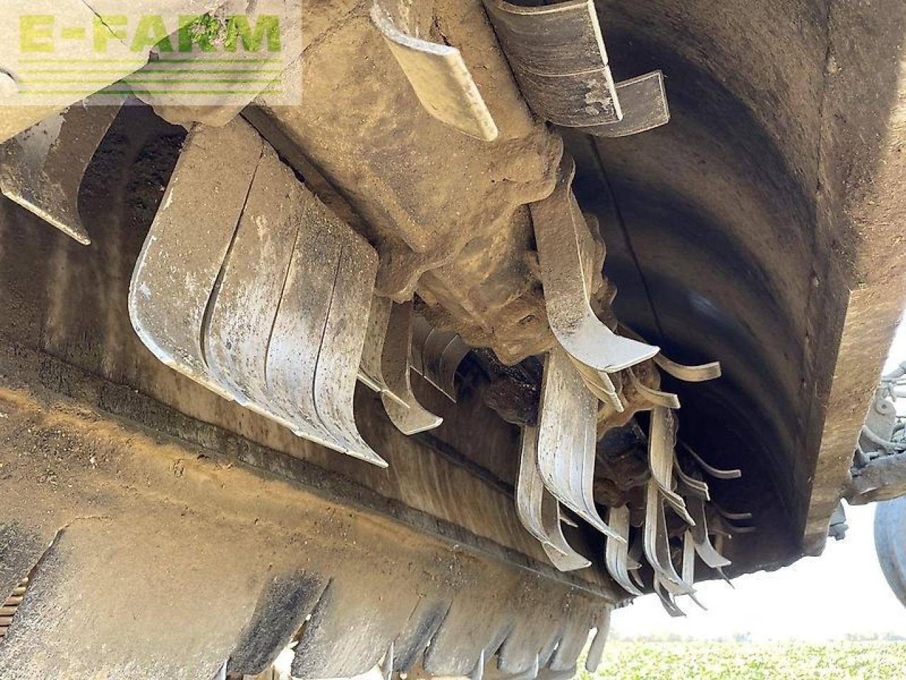 Betupptagare Ropa euro tiger: bild 6