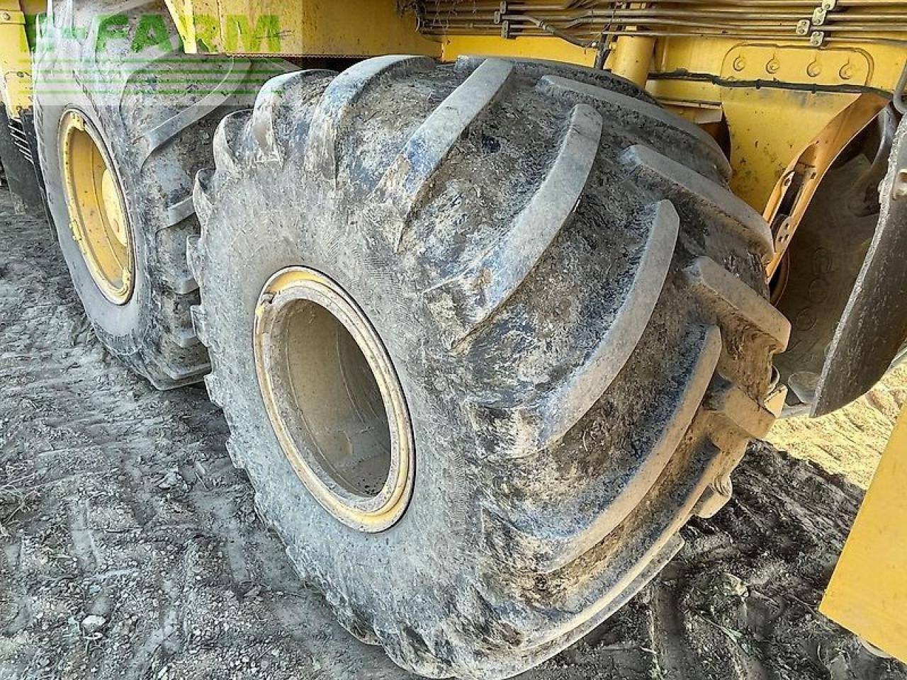 Betupptagare Ropa euro tiger: bild 16