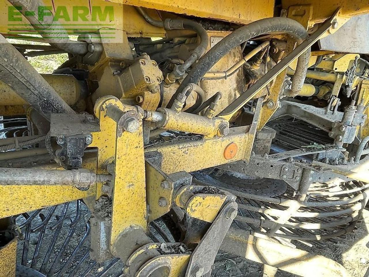 Betupptagare Ropa euro tiger: bild 12