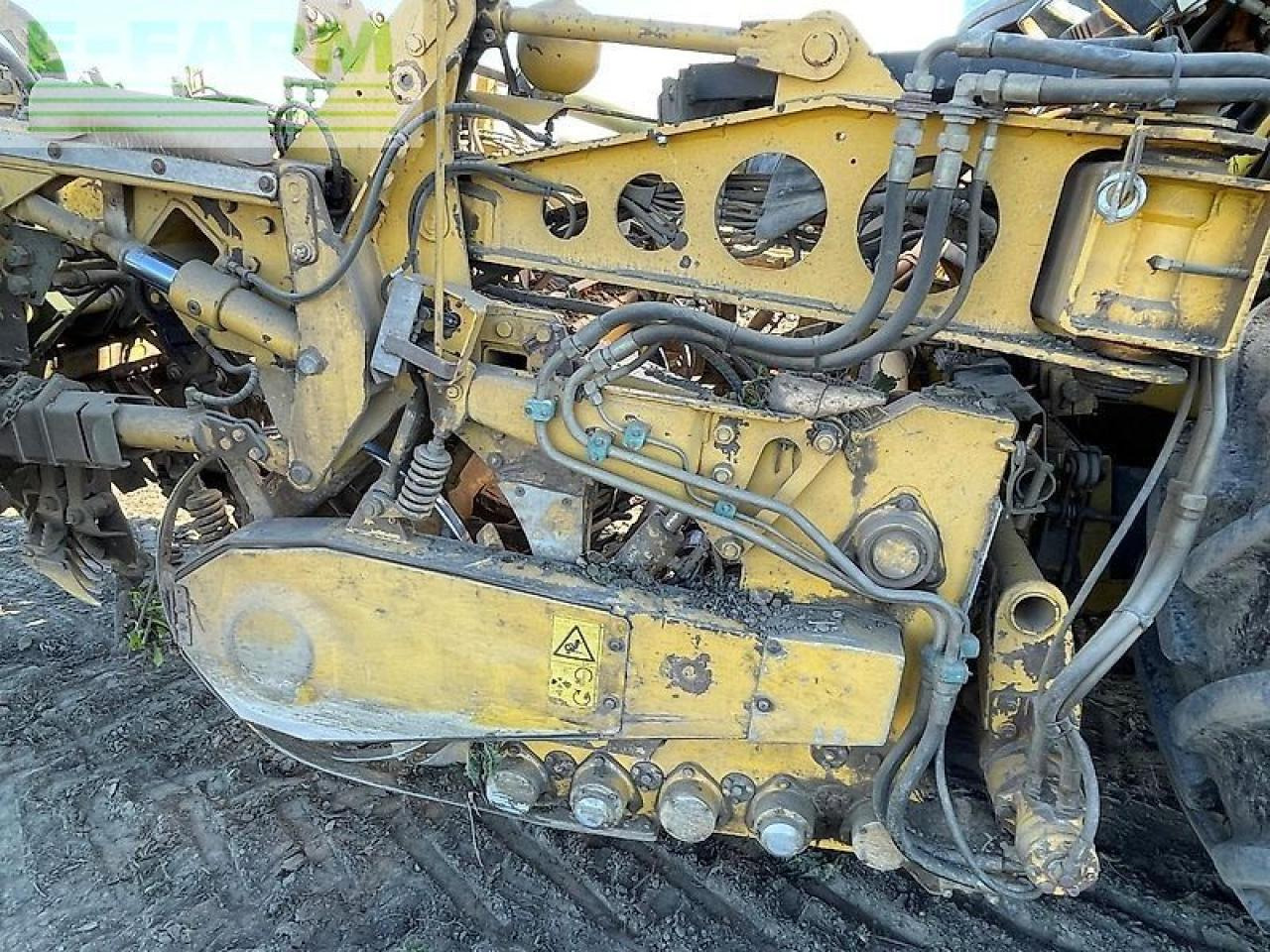 Betupptagare Ropa euro tiger: bild 23