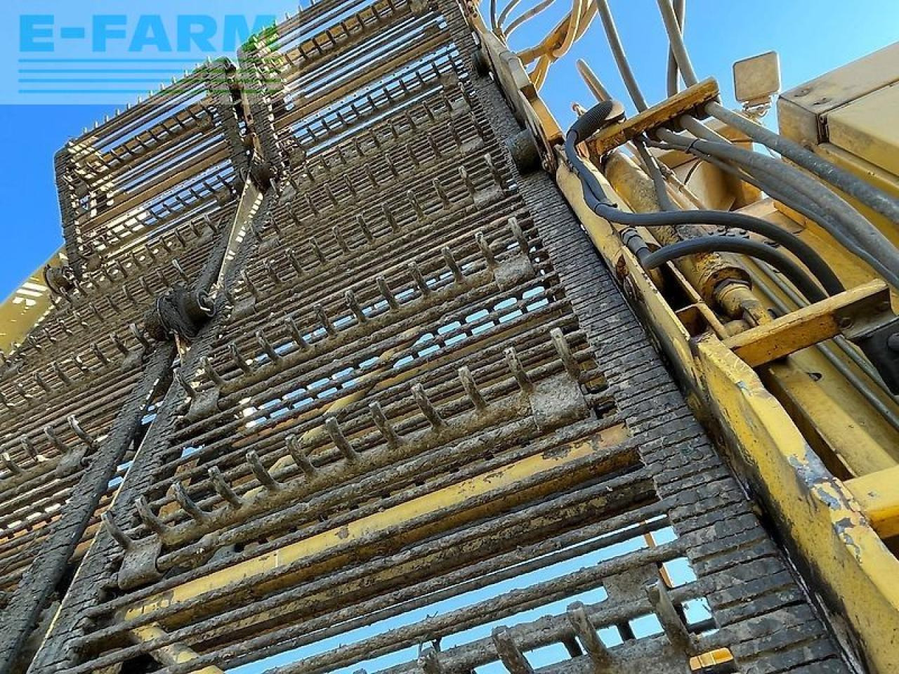 Betupptagare Ropa euro tiger: bild 18