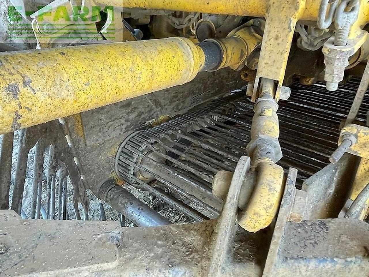 Betupptagare Ropa euro tiger: bild 10