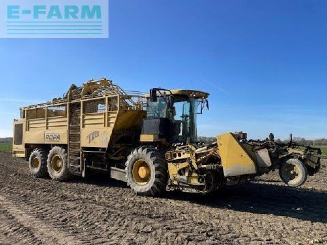 Betupptagare Ropa euro tiger: bild 41