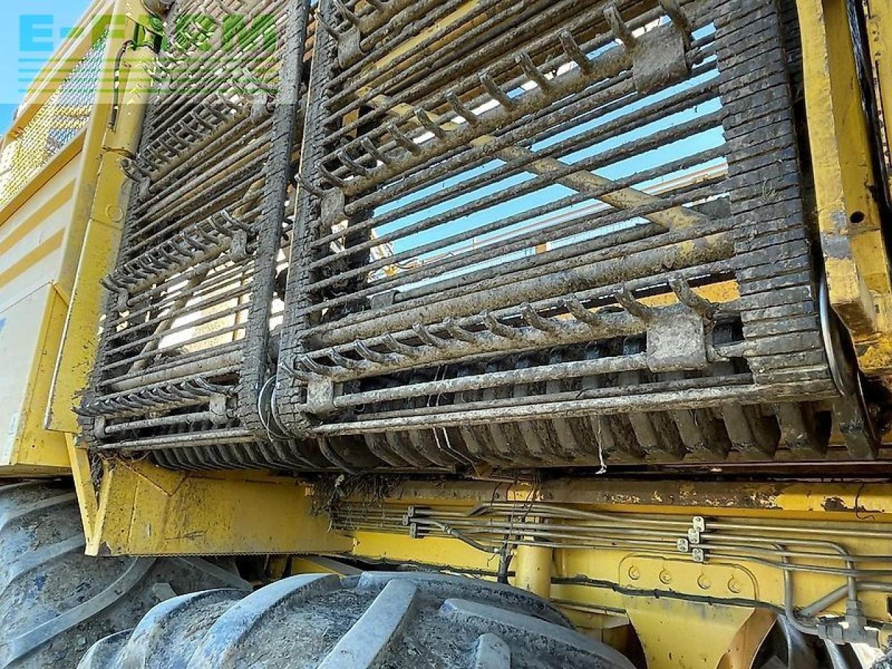 Betupptagare Ropa euro tiger: bild 17