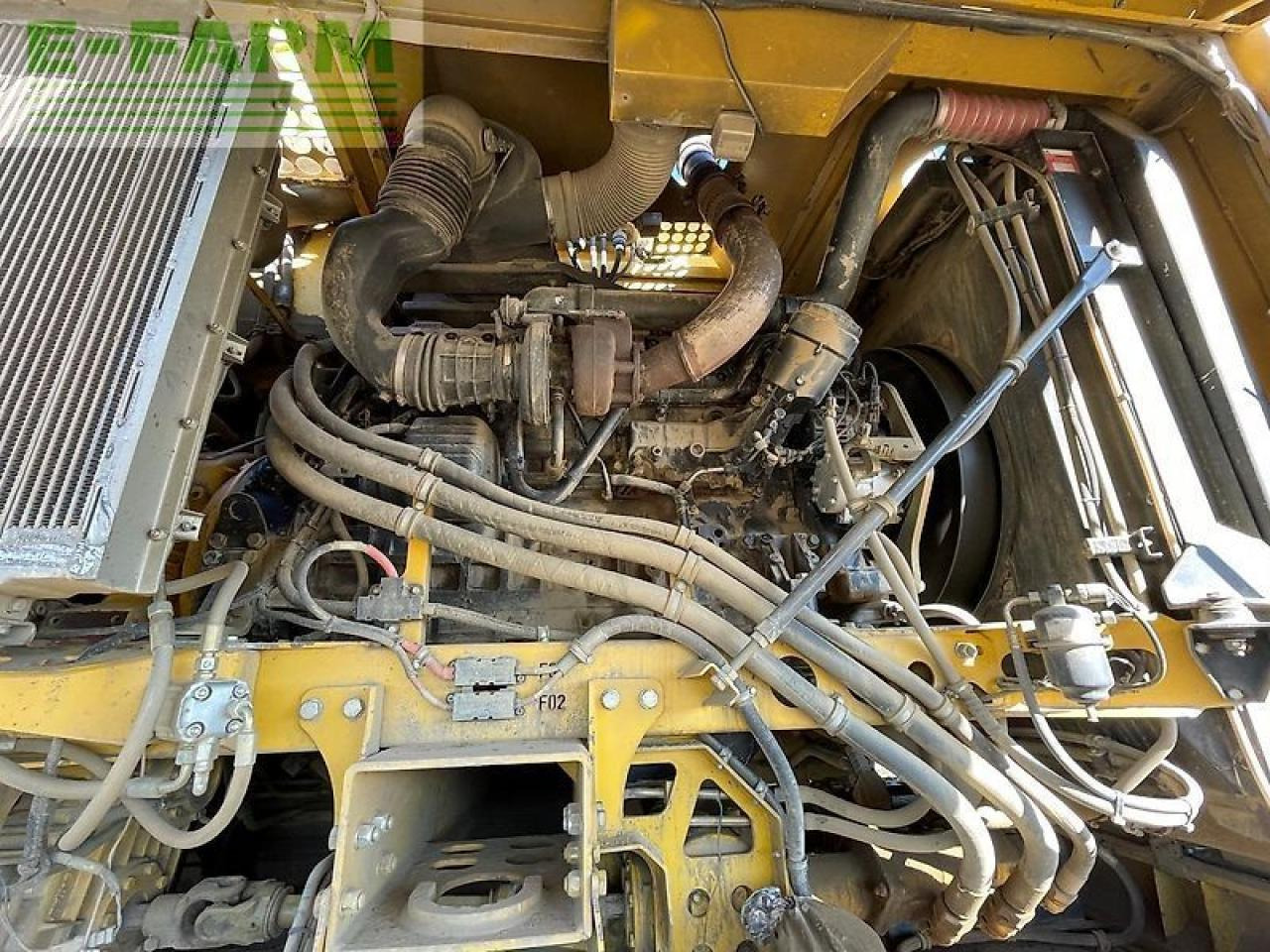 Betupptagare Ropa euro tiger: bild 15