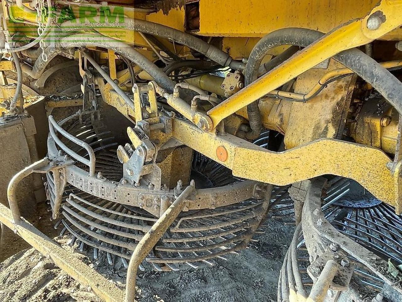 Betupptagare Ropa euro tiger: bild 11