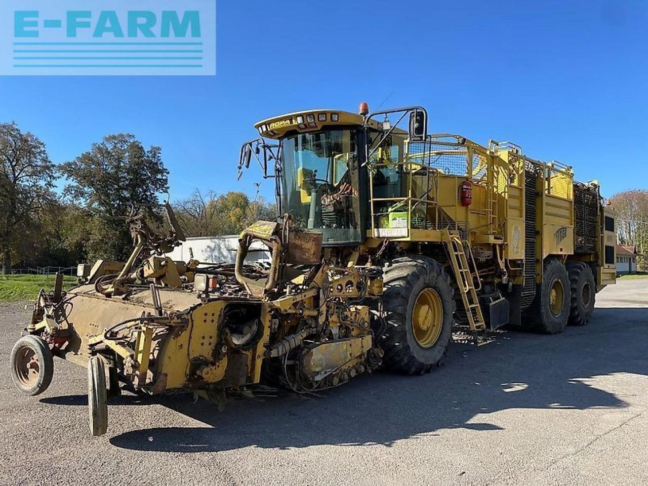 Ropa euro tiger - Betupptagare: bild 3 Ropa euro tiger - Betupptagare: bild 3