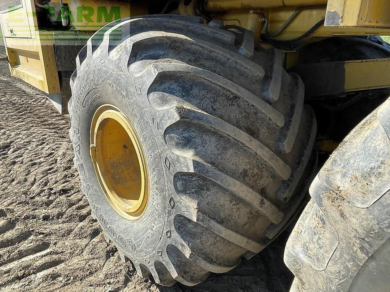 Betupptagare Ropa euro tiger: bild 14