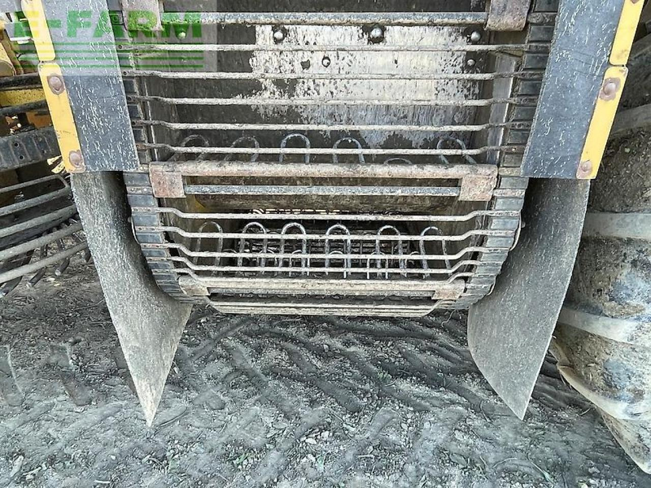 Betupptagare Ropa euro tiger: bild 20