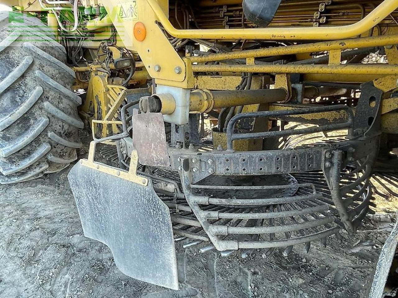 Betupptagare Ropa euro tiger: bild 22