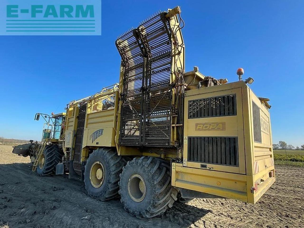 Ropa euro tiger - Betupptagare: bild 3 Ropa euro tiger - Betupptagare: bild 3