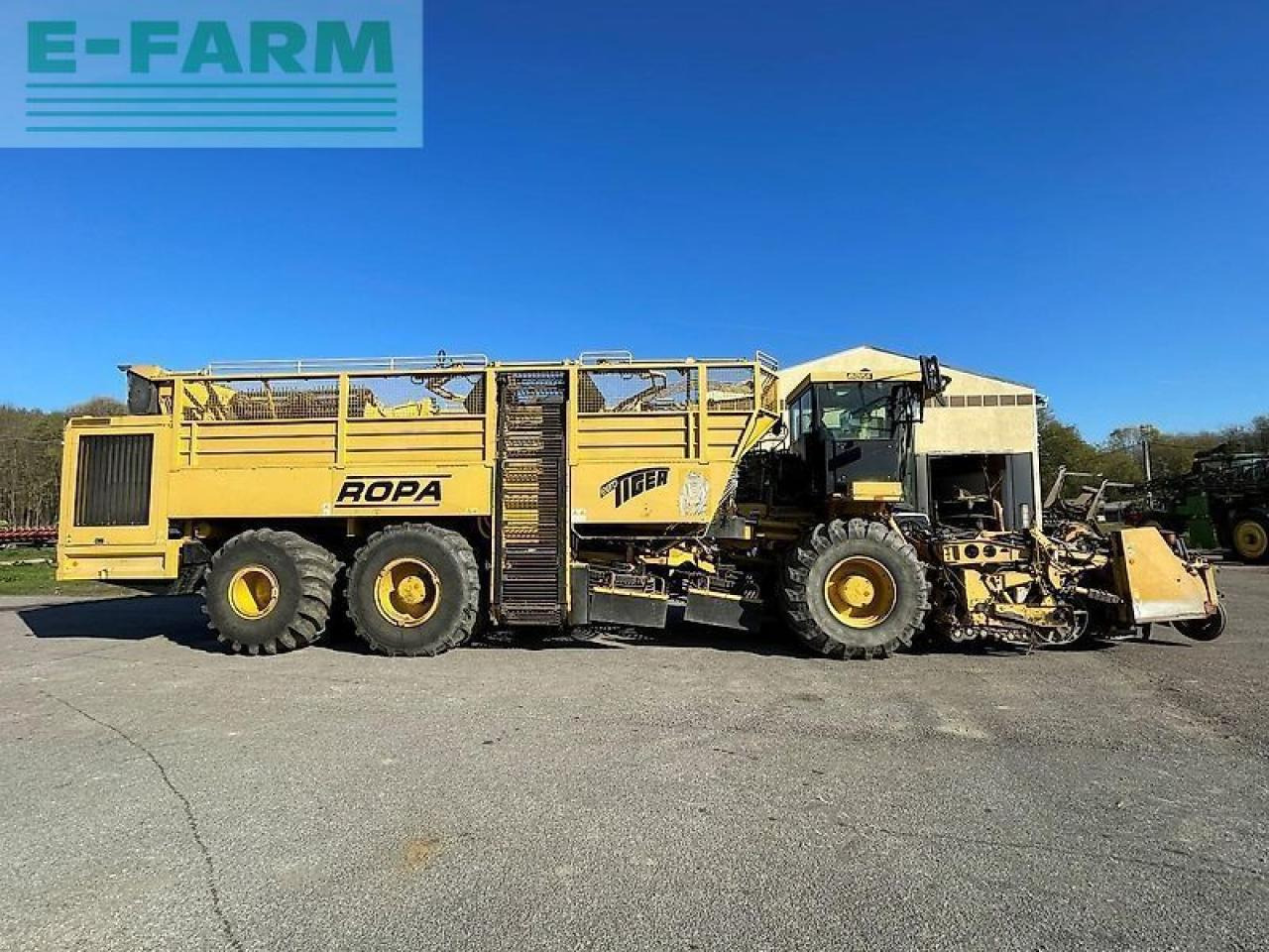 Ropa euro tiger - Betupptagare: bild 1 Ropa euro tiger - Betupptagare: bild 1