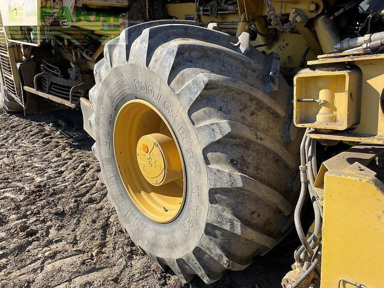 Betupptagare Ropa euro tiger: bild 9