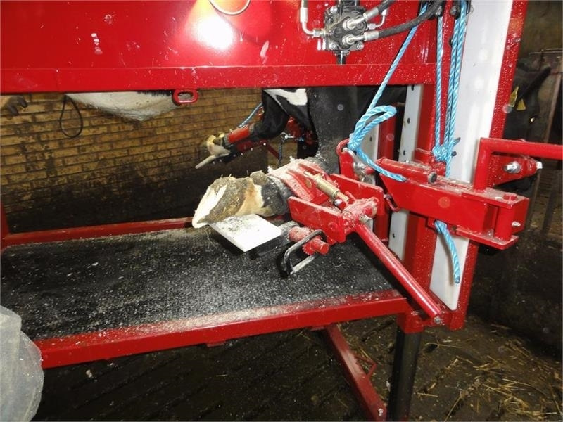 Pomi Std1 Fabriksny - Utrustning för uppfödnings: bild 5 Pomi Std1 Fabriksny - Utrustning för uppfödnings: bild 5