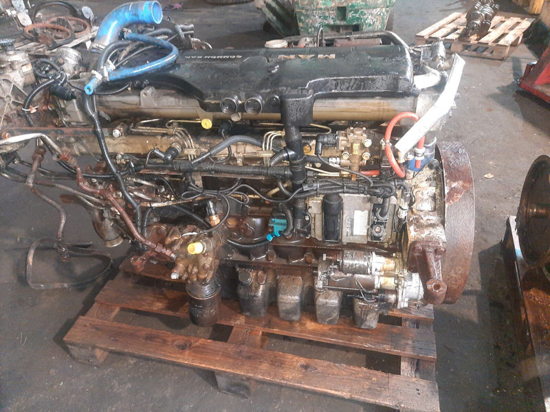 MAN D 0836 LOH56 - Motor: bild 1 MAN D 0836 LOH56 - Motor: bild 1