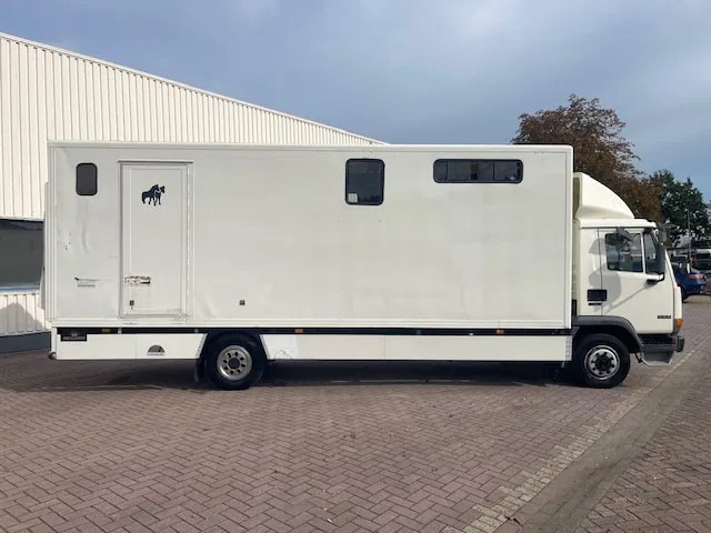 DAF LF 45.130 CLEAN HORSES NL-TRUCK - Hästbuss: bild 5 DAF LF 45.130 CLEAN HORSES NL-TRUCK - Hästbuss: bild 5