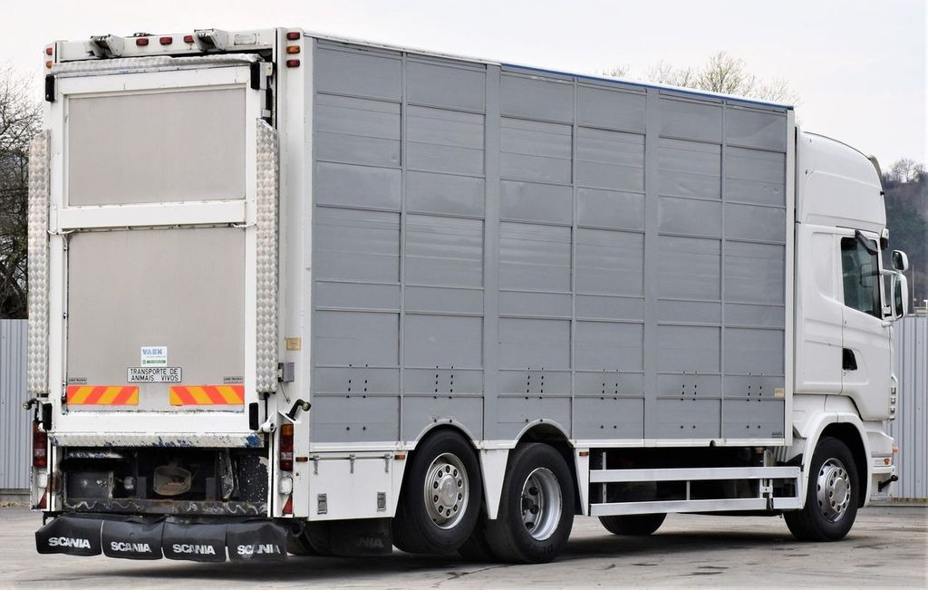 Scania R 500 TIERTRANSPORTWAGEN 7,10m / 4STOCK Scania R 500 TIERTRANSPORTWAGEN 7,10m / 4STOCK - Djurtransport lastbil: bild 5 Scania R 500 TIERTRANSPORTWAGEN 7,10m / 4STOCK Scania R 500 TIERTRANSPORTWAGEN 7,10m / 4STOCK - Djurtransport lastbil: bild 5