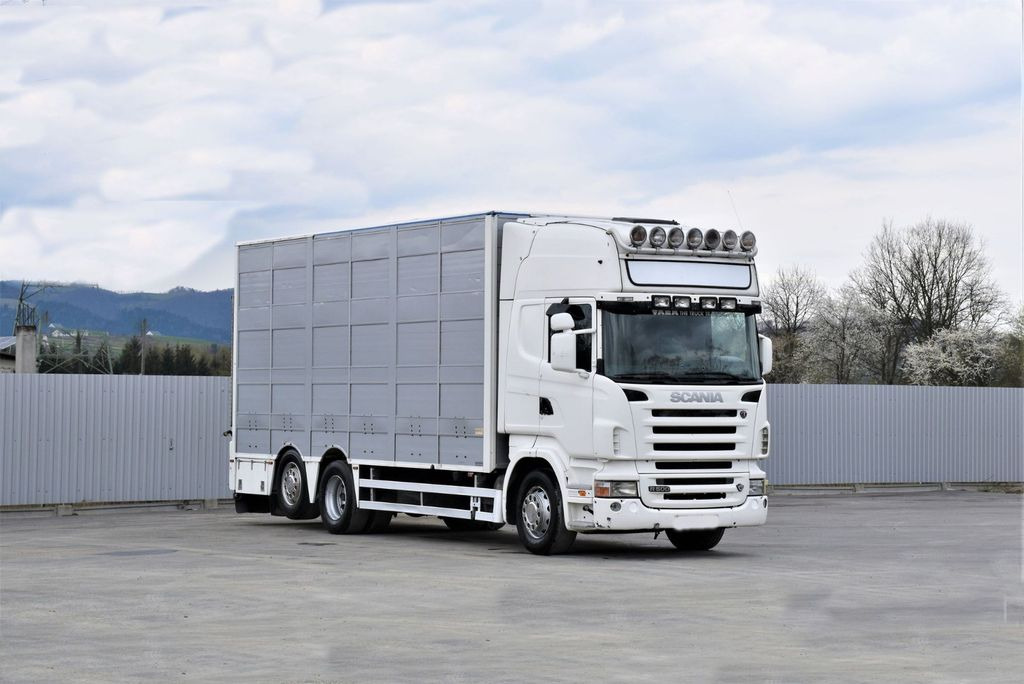 Scania R 500 TIERTRANSPORTWAGEN 7,10m / 4STOCK Scania R 500 TIERTRANSPORTWAGEN 7,10m / 4STOCK - Djurtransport lastbil: bild 2 Scania R 500 TIERTRANSPORTWAGEN 7,10m / 4STOCK Scania R 500 TIERTRANSPORTWAGEN 7,10m / 4STOCK - Djurtransport lastbil: bild 2
