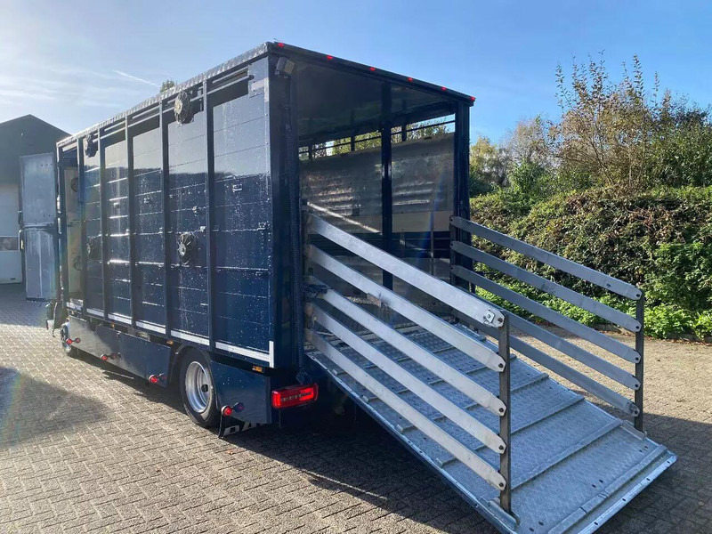 DAF LF 280 - Djurtransport lastbil: bild 5 DAF LF 280 - Djurtransport lastbil: bild 5