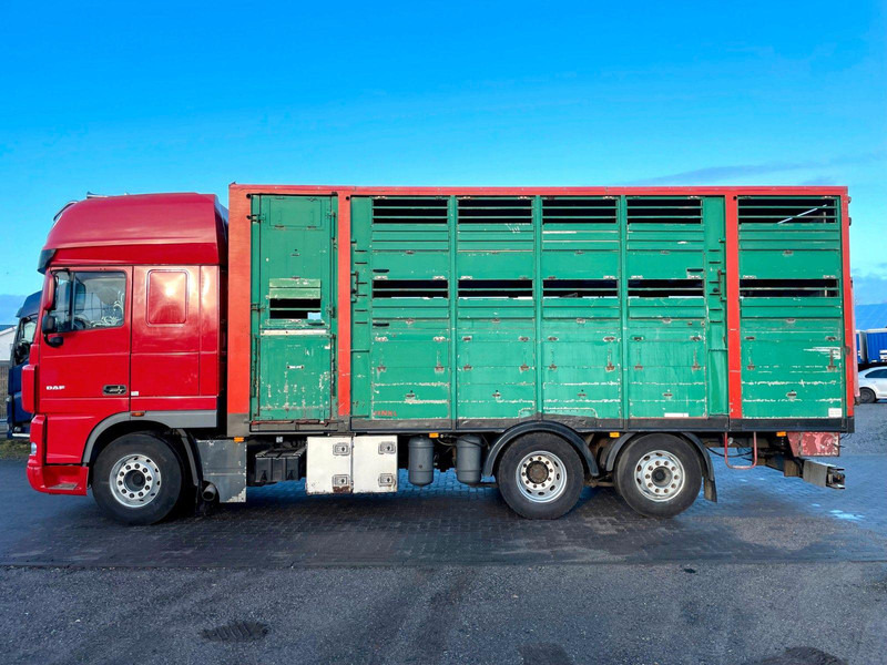 DAF XF 105.460 2-Stock Finkl Viehaufbau / Lenkachs - Djurtransport lastbil: bild 5 DAF XF 105.460 2-Stock Finkl Viehaufbau / Lenkachs - Djurtransport lastbil: bild 5