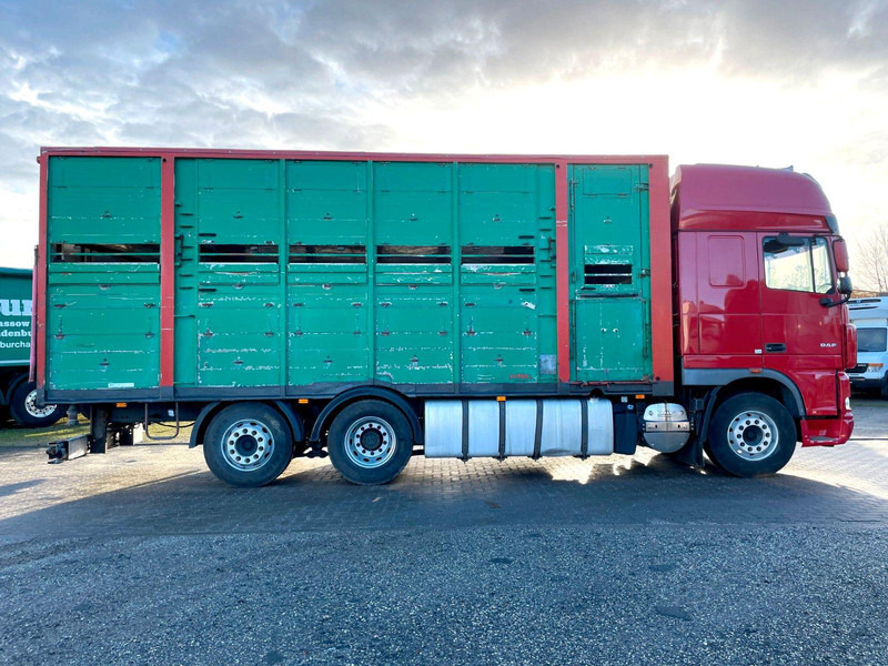 DAF XF 105.460 2-Stock Finkl Viehaufbau / Lenkachs - Djurtransport lastbil: bild 4 DAF XF 105.460 2-Stock Finkl Viehaufbau / Lenkachs - Djurtransport lastbil: bild 4