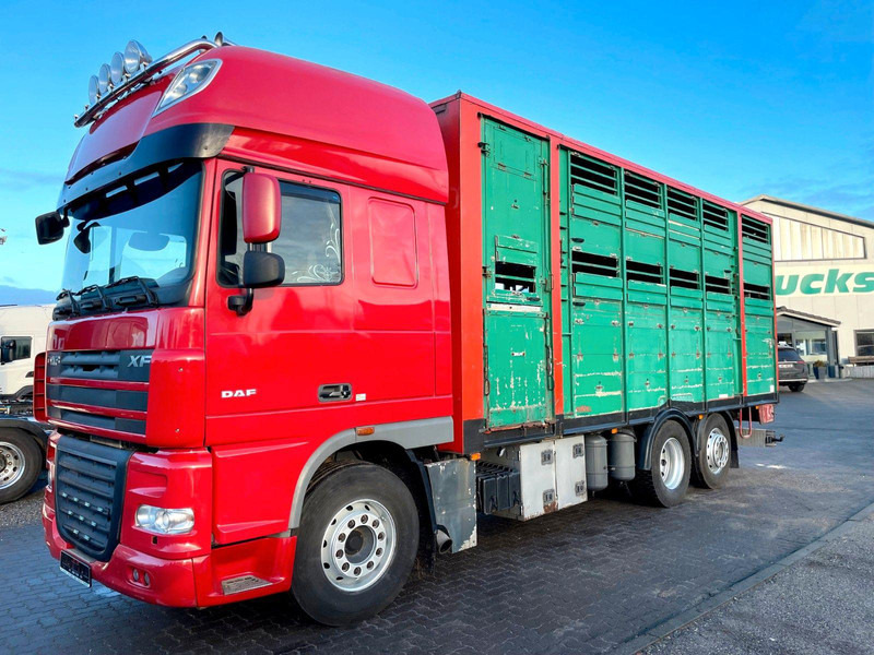 DAF XF 105.460 2-Stock Finkl Viehaufbau / Lenkachs - Djurtransport lastbil: bild 2 DAF XF 105.460 2-Stock Finkl Viehaufbau / Lenkachs - Djurtransport lastbil: bild 2