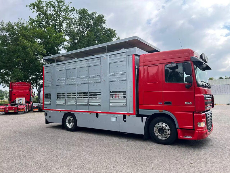 DAF XF 106.460 - Finkl Animal transporter - Djurtransport lastbil: bild 2 DAF XF 106.460 - Finkl Animal transporter - Djurtransport lastbil: bild 2