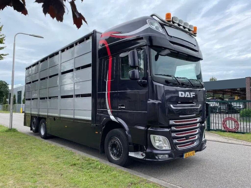 DAF XF 460 - Animal transporter - Djurtransport lastbil: bild 2 DAF XF 460 - Animal transporter - Djurtransport lastbil: bild 2